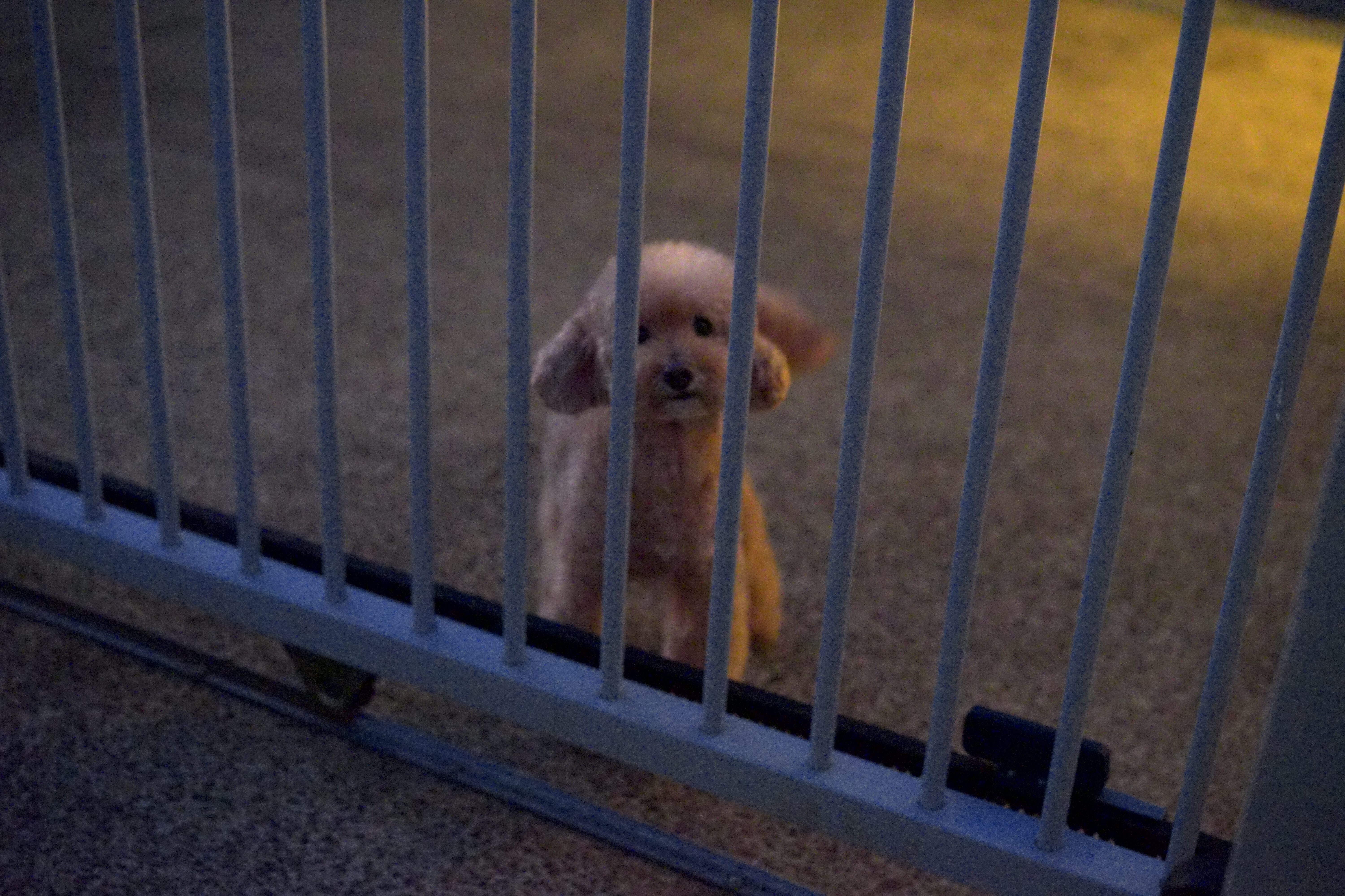 57